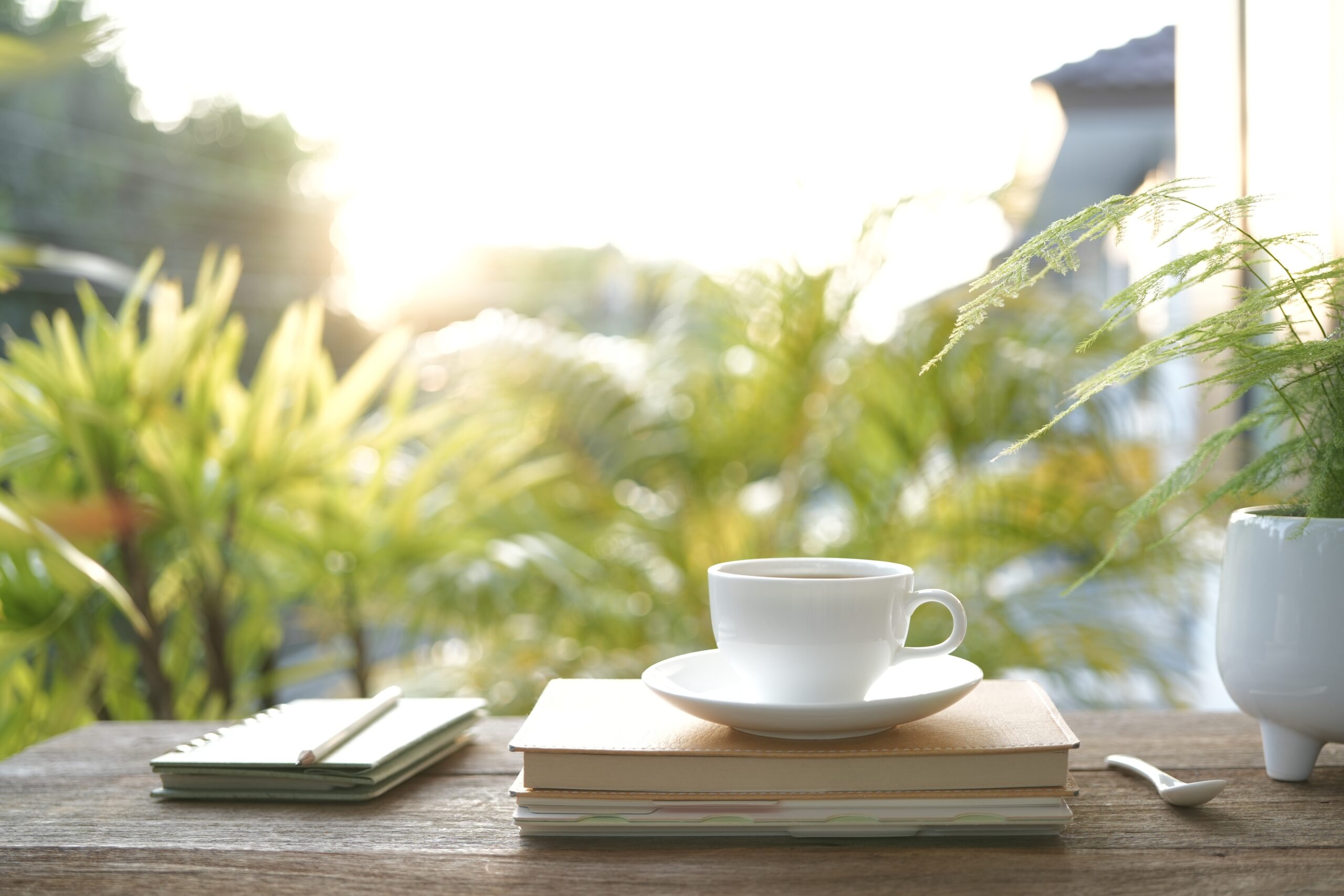 White,Coffee,Cup,And,Diary,Notebooks,And,Plant,Pot,Chill